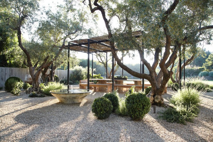 Natural Beauty: Why you should be gardening